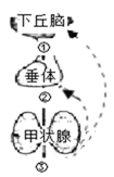 图片_x0020_741063396