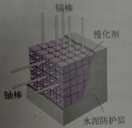 图片_x0020_100014