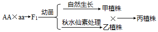 图片_x0020_830403130