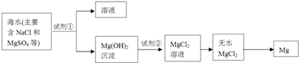 图片_x0020_100026