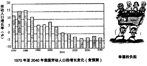 图片_x0020_452825744