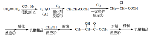 图片_x0020_100050