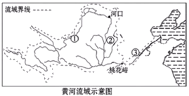 图片_x0020_100012
