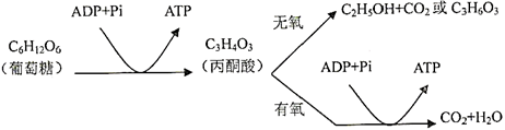 图片_x0020_100016