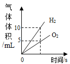 图片_x0020_2004303229