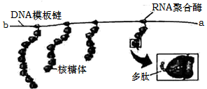 图片_x0020_83963378