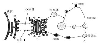 图片_x0020_100020