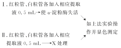 图片_x0020_525828548