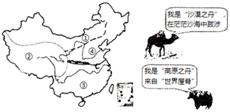 图片_x0020_1907307524