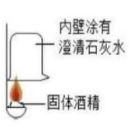 图片_x0020_1867191172