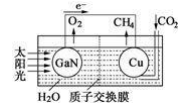 图片_x0020_1605981554