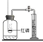 图片_x0020_549542982