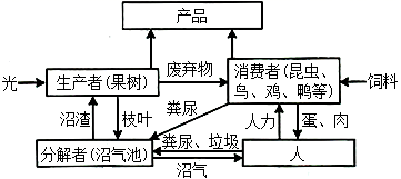 图片_x0020_100006