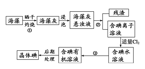 图片_x0020_1815165824