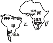 图片_x0020_545094368