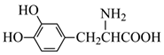 图片_x0020_100018