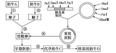 图片_x0020_1406775262