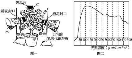 图片_x0020_100008