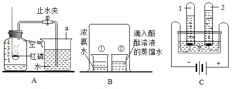 图片_x0020_100013