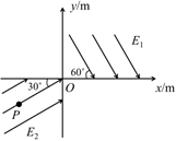 图片_x0020_100019