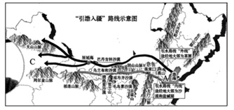 图片_x0020_100013