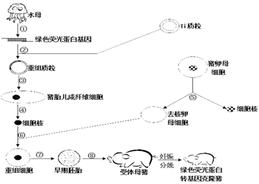 图片_x0020_100026