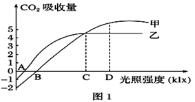 图片_x0020_100005