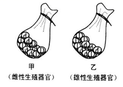 图片_x0020_100001