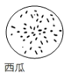 图片_x0020_1416063313