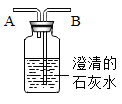 图片_x0020_100015