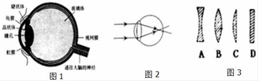 图片_x0020_1356528995