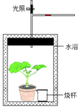 图片_x0020_15