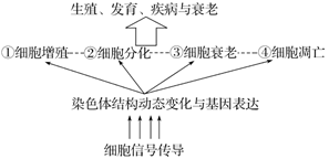 图片_x0020_617180418