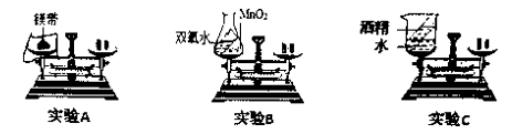 图片_x0020_100017