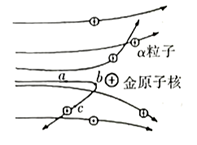 图片_x0020_100001