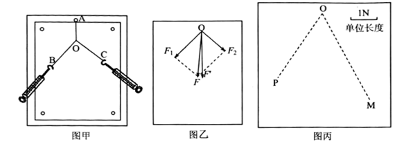 图片_x0020_100011