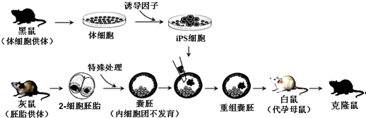 图片_x0020_537111556
