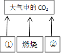 图片_x0020_100012