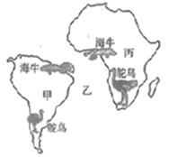 图片_x0020_100022