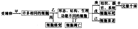 图片_x0020_100003