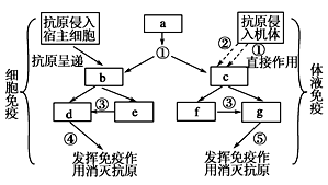 图片_x0020_100018