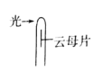 图片_x0020_100003