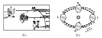 图片_x0020_100014