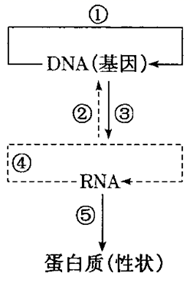 图片_x0020_838320349