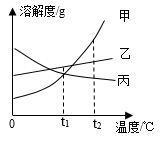 图片_x0020_1243987386
