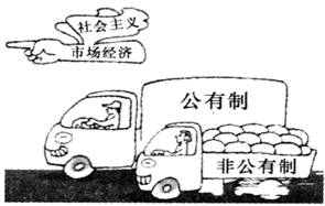 图片_x0020_915073242