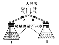 图片_x0020_100022