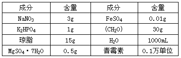 图片_x0020_1841145795