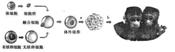 图片_x0020_51149156
