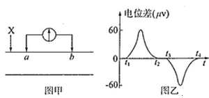 图片_x0020_924391815